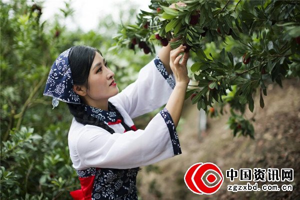 仙女下凡助农业