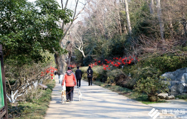 宠物犬能否进入公园、景区、景点？