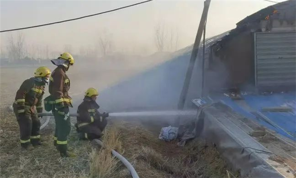 视频淮安一养鸡棚起火，5000多只蛋鸡被活活烧死，现场视频...