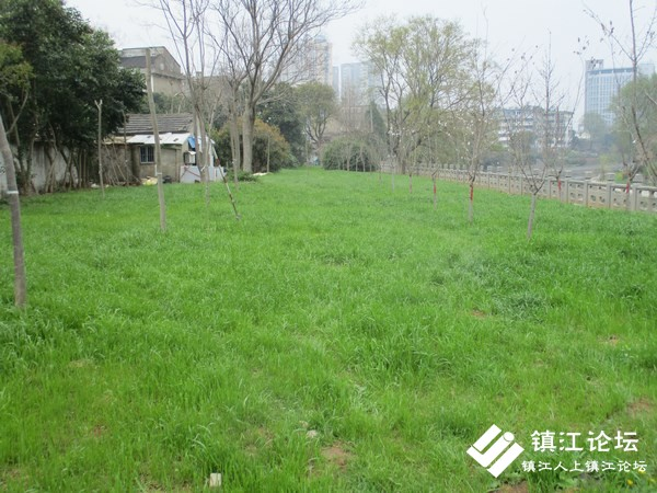 IMG_6078 (复制).JPG