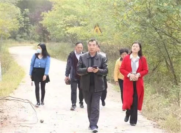 我把陡山带回家