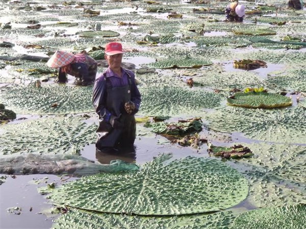 盱眙县三官村：百里画廊绿水间