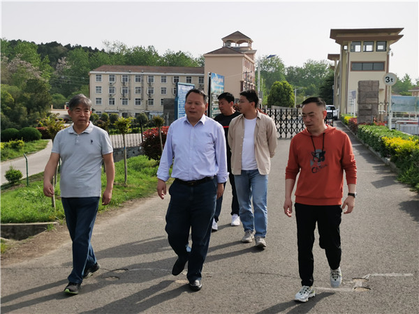 水利部专家莅临盱眙龙王山水库进行汛前检查