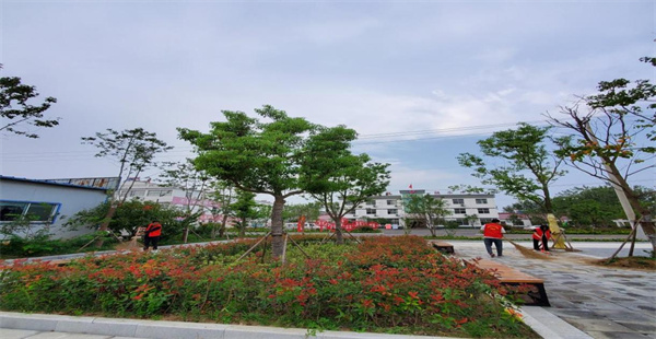 盱眙县马坝镇石桥村：推行“三个坚持”工作法助力公共空间治理