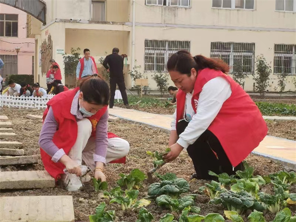 盱眙县维桥小学党支部开展“党建+劳动教育”主题党日活动