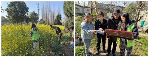 图片3_副本.png 图片3_副本.png