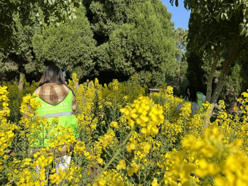 图片5_副本.png 图片5_副本.png