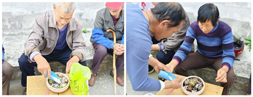 湖熟街道龙都社区“迎接春天 向阳而生”活动