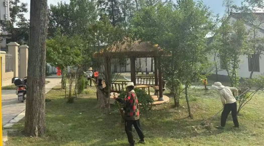仪征市刘集镇白羊村：清洁家园·美化村庄
