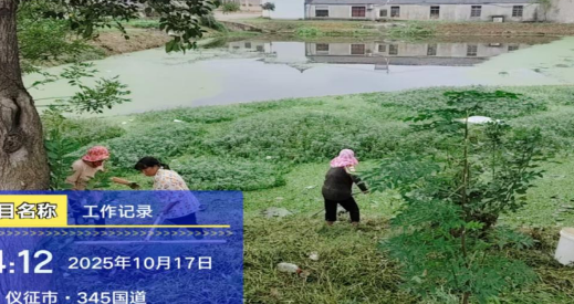 仪征市大仪镇张家村:开展河塘清理 筑牢安全屏障