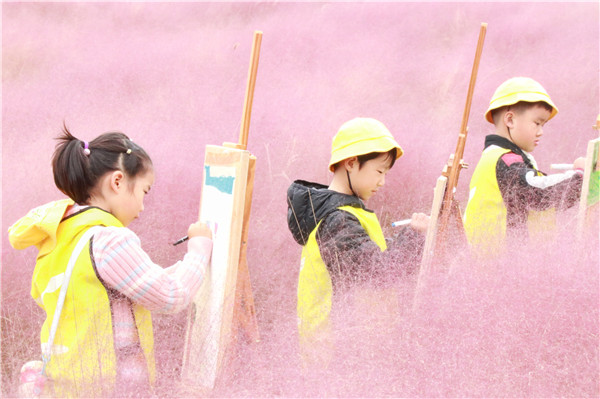 粉黛漫游记 小手画秋光——盱眙县五墩第一幼儿园开展秋日自然探索活动