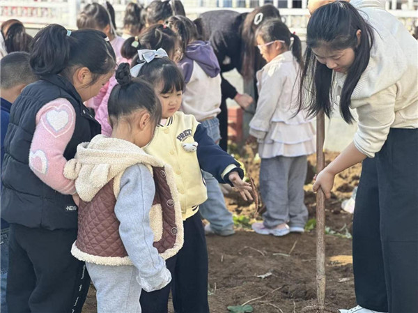 挖薯寻秋趣 劳动悟“藏”意——盱眙县第一实验幼儿园开展劳动主题活动