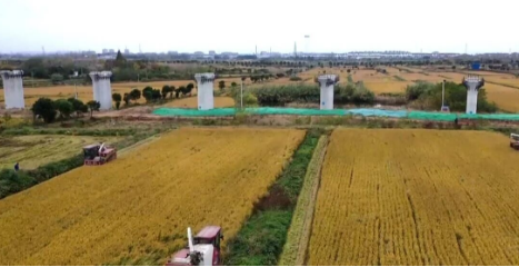 仪征市刘集镇：护航秋收秋种 筑牢粮食根基