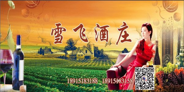 雪飞_副本.jpg