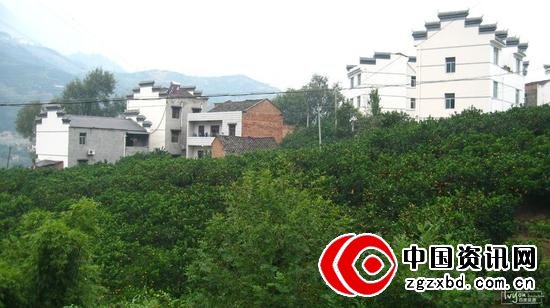 向上看,要掉下来了。