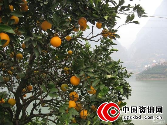 江山半壁。