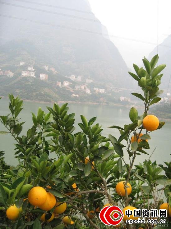 半壁江山。