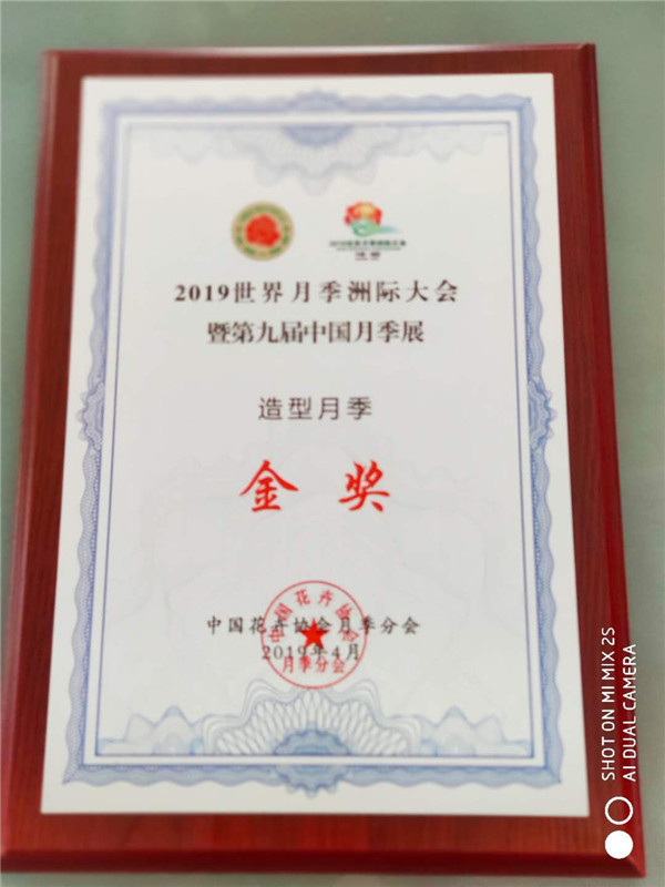 淮安荣膺世界月季洲际大会暨中国月季展多项大奖