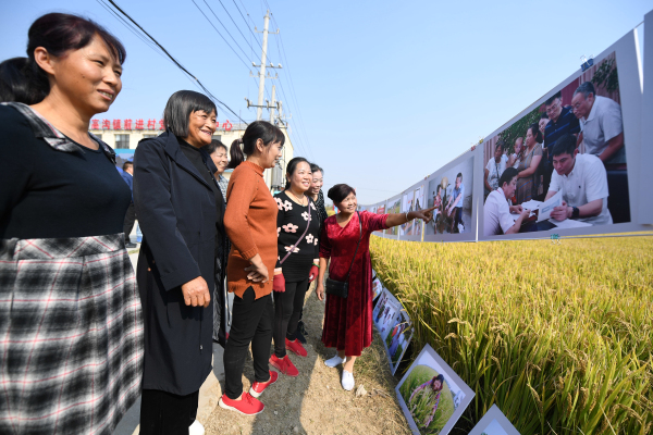 前进村：“在希望的田野上”田头摄影展深受农民欢迎