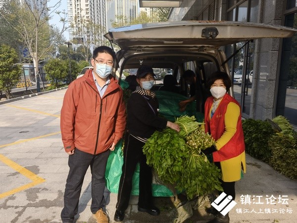 丹阳里庄村民旱芹滞销急白头 爱心人士热心助农推销暖人心