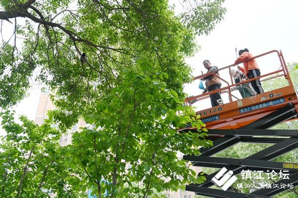  京口路：为救小猫连打火警电话  社会紧急救助资源该不该随意动用？