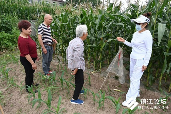 志愿者助农微行动  现场预订玉米三千斤