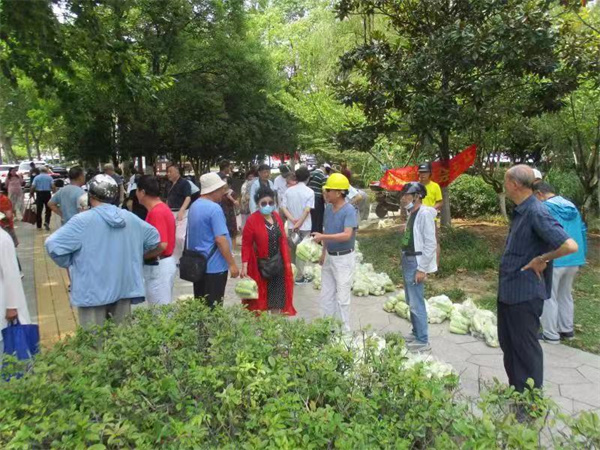 镇江爱心俱乐部助力江心洲村民推销滞销玉米万斤获点赞