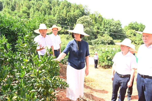 吴忠琼深入信丰调研督导