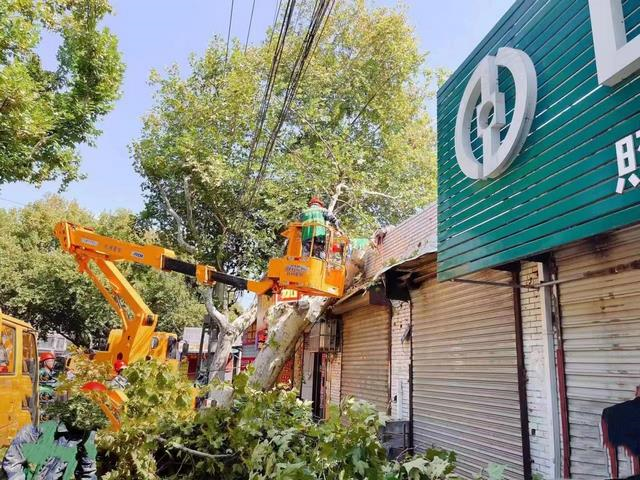 悟桐与住宅“接吻”  两部门联手除隐患