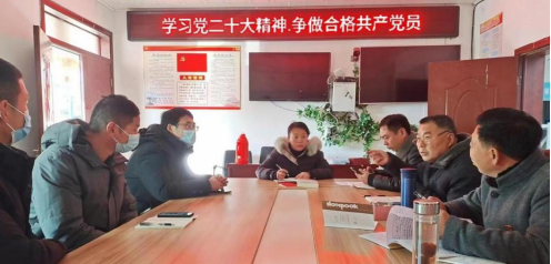激发爱国热情   凝聚奋进力量：漕运镇林集社区“党建+”激活乡村振兴“红色引擎”