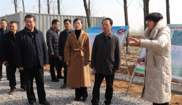 仪征市刘集镇：王辉森调研村级集体农场建设工作
