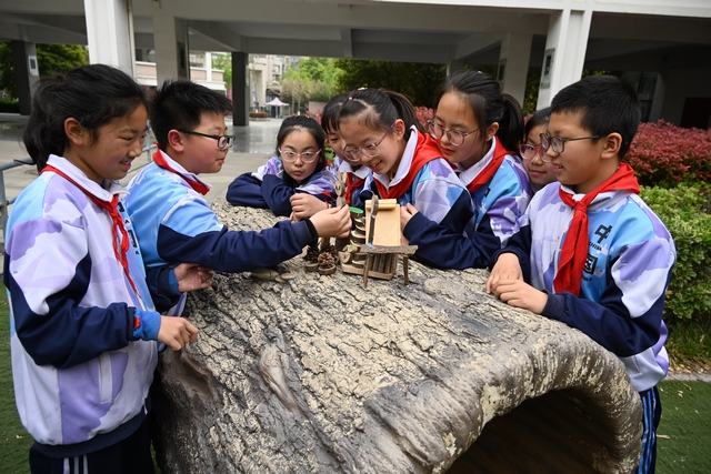 润州实验小学携手山水、四叶草自然俱乐部打造孩子自然美育课堂！