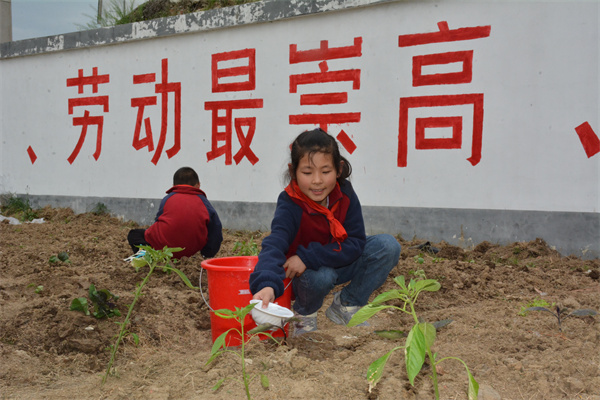 微信图片_20230504095702.jpg