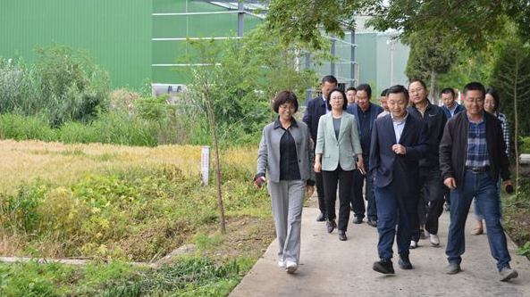 省总社来仪征市调研农业社会化服务工作