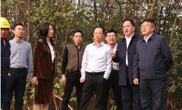 王辉森带队来仪征新集镇调研345国道建设情况