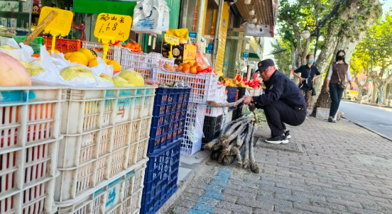 仪征城管：打通“大动脉” 构建“新格局”