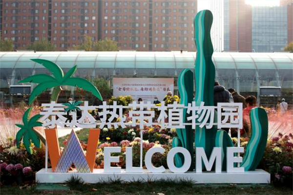 金秋赏菊 打卡泰达热带植物园