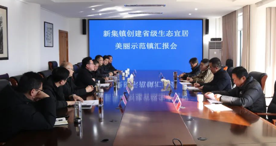 仪征市新集镇：生态宜居美丽示范镇创建工作接受省级验收