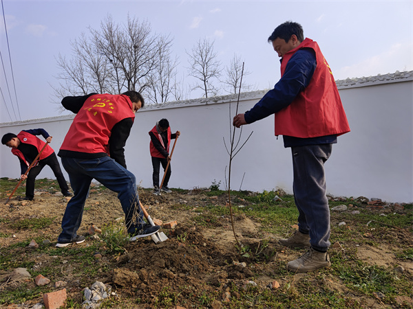图片6.jpg