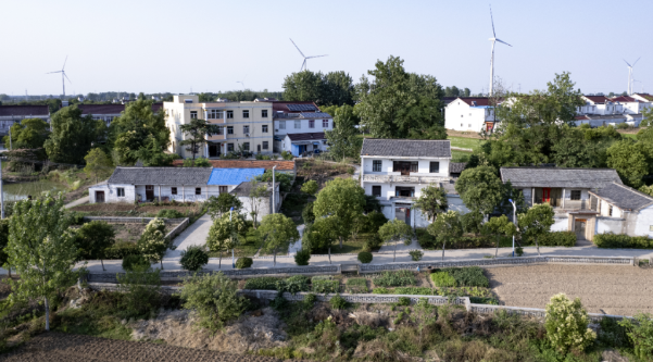 仪征大仪：持续打好净土保卫战