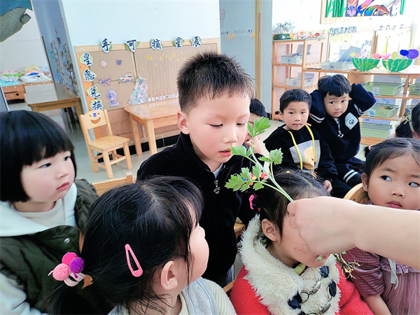 图片4.jpg