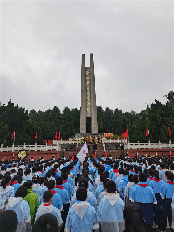 8.jpg