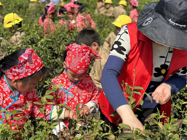  茶香润童心 以劳促成长