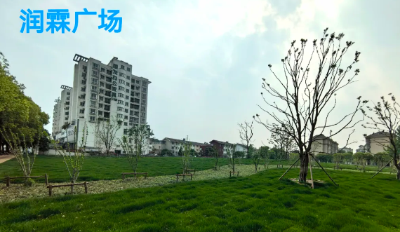 江苏仪征：闲置地块变身“口袋公园”