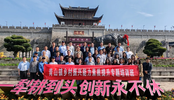 仪征市青山镇：专题调研视察，助力乡村振兴