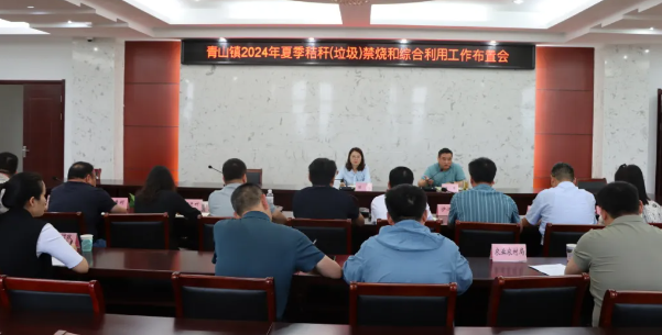 仪征市青山镇：打好秸秆禁烧和综合利用“组合拳”