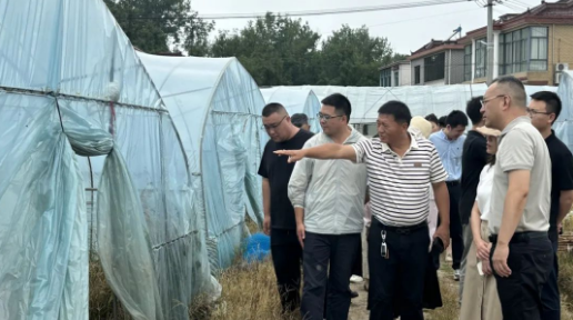 仪征市新集镇：开展调研协商，助力乡村振兴