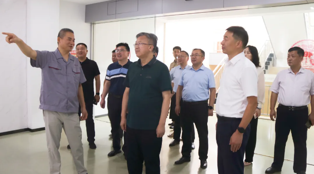 仪征市委书记孙建年来新集走访调研文化产业