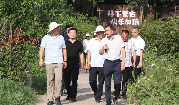 仪征市新集镇凌东村：省级特色田园乡村接受“回头看”