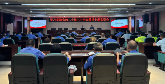 仪征城管局：学习贯彻党的二十届三中全会精神 推进美丽仪征建设
